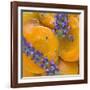 Apricots with Lavender, Detail-C. Nidhoff-Lang-Framed Photographic Print