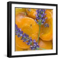 Apricots with Lavender, Detail-C. Nidhoff-Lang-Framed Photographic Print