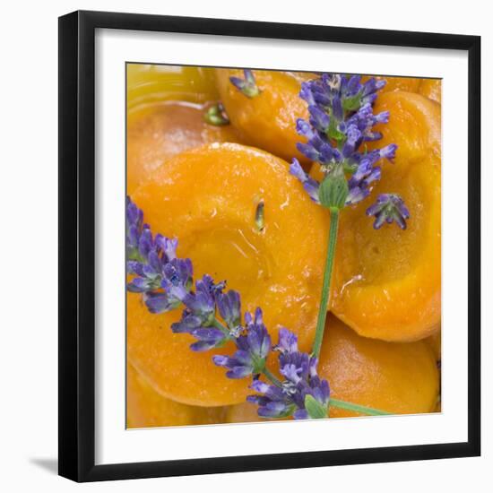 Apricots with Lavender, Detail-C. Nidhoff-Lang-Framed Photographic Print