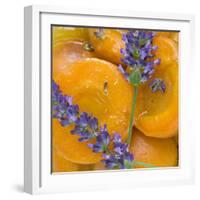 Apricots with Lavender, Detail-C. Nidhoff-Lang-Framed Photographic Print