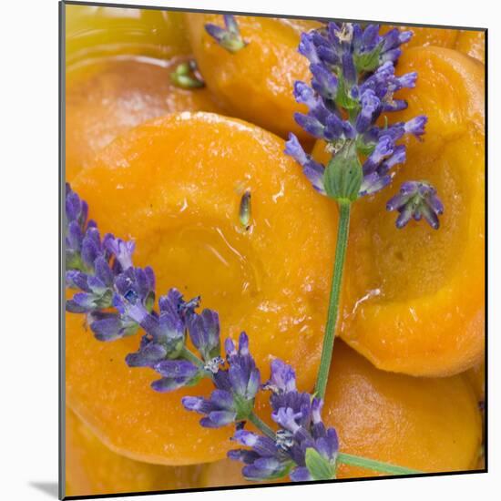 Apricots with Lavender, Detail-C. Nidhoff-Lang-Mounted Photographic Print