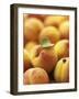 Apricots with One Leaf-Vladimir Shulevsky-Framed Photographic Print