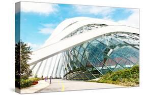 April 6, 2014 Singapore. Building in the Park Gardens by the Bay, Singapore.-Lucy Liu-Stretched Canvas