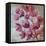 April Blooms I-Silvia Vassileva-Framed Stretched Canvas