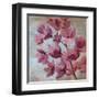 April Blooms I-Silvia Vassileva-Framed Art Print