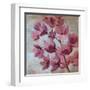 April Blooms I-Silvia Vassileva-Framed Art Print