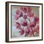 April Blooms I-Silvia Vassileva-Framed Premium Giclee Print