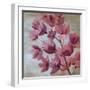 April Blooms I-Silvia Vassileva-Framed Premium Giclee Print