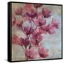 April Blooms II-Silvia Vassileva-Framed Stretched Canvas