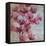 April Blooms II-Silvia Vassileva-Framed Stretched Canvas