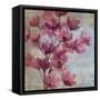 April Blooms II-Silvia Vassileva-Framed Stretched Canvas