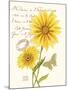 April Daisy-Ariane Sarah-Mounted Art Print