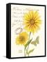 April Daisy-Ariane Sarah-Framed Stretched Canvas