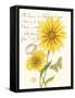 April Daisy-Ariane Sarah-Framed Stretched Canvas