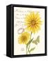 April Daisy-Ariane Sarah-Framed Stretched Canvas