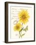 April Daisy-Ariane Sarah-Framed Art Print