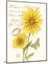 April Daisy-Ariane Sarah-Mounted Art Print