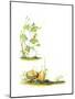 April Fairies - Jack & Jill-Susan Carlton Smith-Mounted Giclee Print