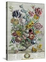 April, from 'Twelve Months of Flowers', 1730-Pieter Casteels-Stretched Canvas