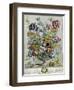 April, from 'Twelve Months of Flowers', 1730-Pieter Casteels-Framed Giclee Print