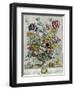 April, from 'Twelve Months of Flowers', 1730-Pieter Casteels-Framed Giclee Print