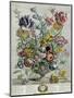 April, from 'Twelve Months of Flowers', 1730-Pieter Casteels-Mounted Giclee Print