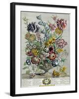 April, from 'Twelve Months of Flowers', 1730-Pieter Casteels-Framed Giclee Print