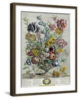 April, from 'Twelve Months of Flowers', 1730-Pieter Casteels-Framed Giclee Print