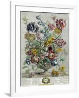 April, from 'Twelve Months of Flowers', 1730-Pieter Casteels-Framed Giclee Print