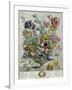 April, from 'Twelve Months of Flowers', 1730-Pieter Casteels-Framed Giclee Print