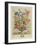 April, from 'Twelve Months of Flowers', by Robert Furber (C.1674-1756), Engraved by Henry Fletcher-Pieter (after) Casteels-Framed Giclee Print