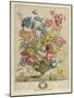 April, from 'Twelve Months of Flowers', by Robert Furber (C.1674-1756), Engraved by Henry Fletcher-Pieter (after) Casteels-Mounted Giclee Print