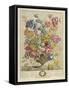 April, from 'Twelve Months of Flowers', by Robert Furber (C.1674-1756), Engraved by Henry Fletcher-Pieter (after) Casteels-Framed Stretched Canvas