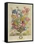 April, from 'Twelve Months of Flowers', by Robert Furber (C.1674-1756), Engraved by Henry Fletcher-Pieter (after) Casteels-Framed Stretched Canvas