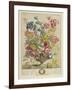 April, from 'Twelve Months of Flowers', by Robert Furber (C.1674-1756), Engraved by Henry Fletcher-Pieter (after) Casteels-Framed Giclee Print