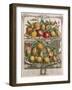 April, from 'Twelve Months of Fruits', by Robert Furber-Pieter Casteels-Framed Giclee Print