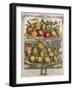 April, from 'Twelve Months of Fruits', by Robert Furber-Pieter Casteels-Framed Giclee Print