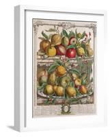 April, from 'Twelve Months of Fruits', by Robert Furber-Pieter Casteels-Framed Giclee Print