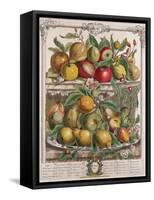 April, from 'Twelve Months of Fruits', by Robert Furber-Pieter Casteels-Framed Stretched Canvas