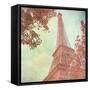 April in Paris I-Emily Navas-Framed Stretched Canvas