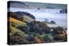 April Morning in the Petaluma Hills, Sonoma County, Northern California-Vincent James-Stretched Canvas