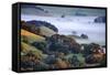 April Morning in the Petaluma Hills, Sonoma County, Northern California-Vincent James-Framed Stretched Canvas