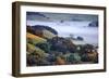 April Morning in the Petaluma Hills, Sonoma County, Northern California-Vincent James-Framed Photographic Print