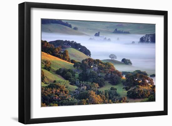 April Morning in the Petaluma Hills, Sonoma County, Northern California-Vincent James-Framed Photographic Print