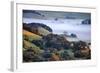 April Morning in the Petaluma Hills, Sonoma County, Northern California-Vincent James-Framed Photographic Print