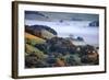 April Morning in the Petaluma Hills, Sonoma County, Northern California-Vincent James-Framed Photographic Print