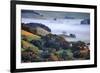 April Morning in the Petaluma Hills, Sonoma County, Northern California-Vincent James-Framed Photographic Print