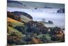 April Morning in the Petaluma Hills, Sonoma County, Northern California-Vincent James-Mounted Photographic Print