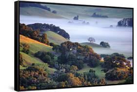 April Morning in the Petaluma Hills, Sonoma County, Northern California-Vincent James-Framed Stretched Canvas