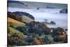 April Morning in the Petaluma Hills, Sonoma County, Northern California-Vincent James-Stretched Canvas